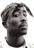 Filename=tupac3.jpg
Filesize=18KiB
Dimensions=232x329
Date added=Jan 28, 2007 tupac3.jpg