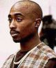 Filename=tupac5.jpg
Filesize=16KiB
Dimensions=188x227
Date added=Jan 28, 2007 tupac5.jpg